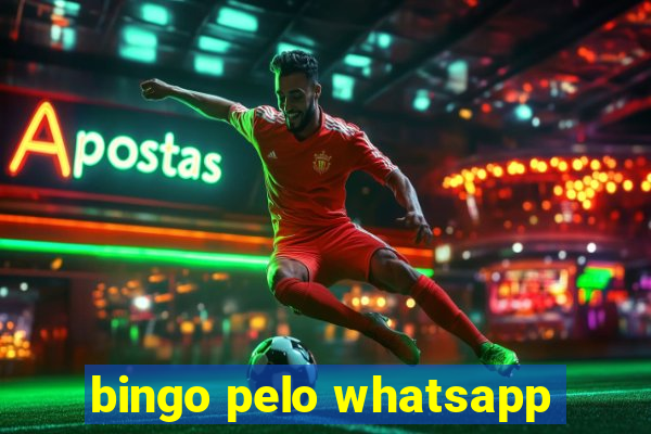 bingo pelo whatsapp